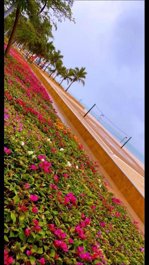 أستديو توليب مارينا الفندقي King Abdullah Economic City Экстерьер фото